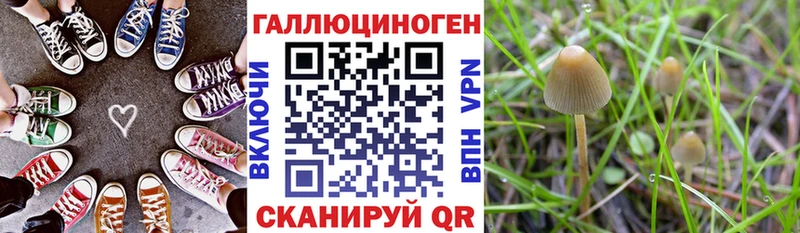 как найти закладки Рузаевка Галлюциногенные грибы Psilocybe